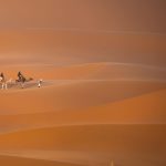 Small camel caravan crossing the golden dunes of Erg Chebbi – Merzouga, Morocco