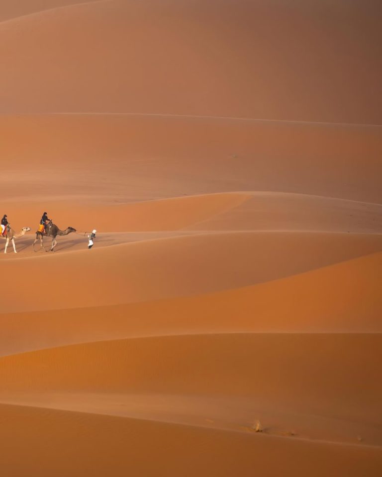 Guided Walking Tour Small camel caravan crossing the golden dunes of Erg Chebbi – Merzouga