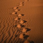 Footprints in the rippled sand of the Sahara – Merzouga, Morocco
