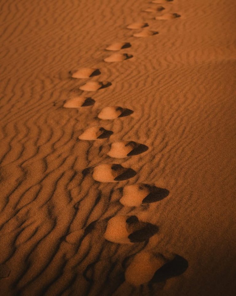 Guided Walking Tour Footprints in the rippled sand of the Sahara – Merzouga