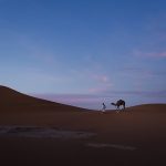 Rider on a dune ridge under a blue evening sky – Merzouga, Morocco
