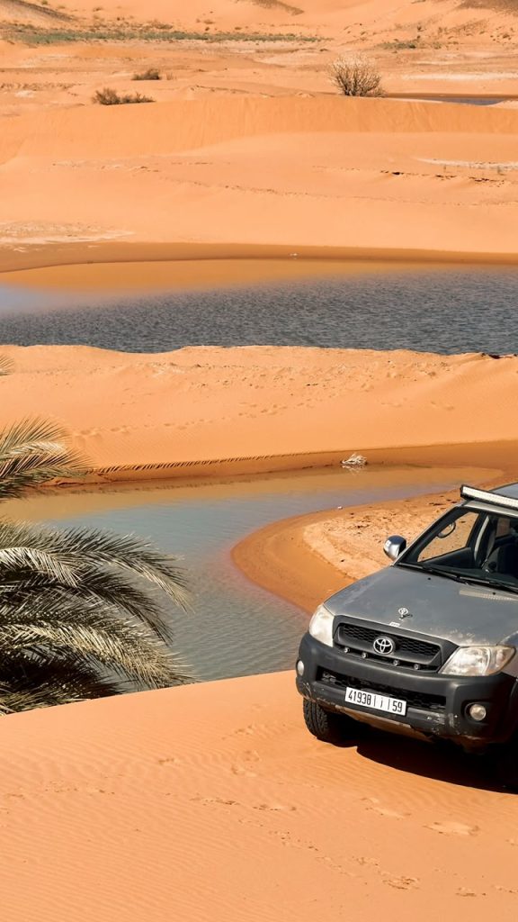 4x4 Desert Excursion