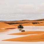 Desert lake surrounded by sand dunes – Merzouga, Morocco