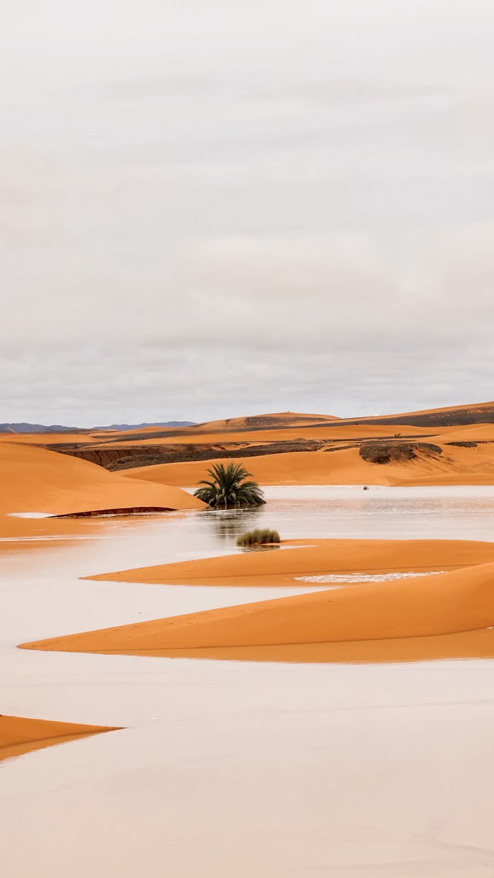 4x4 Desert Excursion Desert lake surrounded by sand dunes – Merzouga