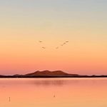 Pink sunset over a desert lake with flying birds – Merzouga, Morocco