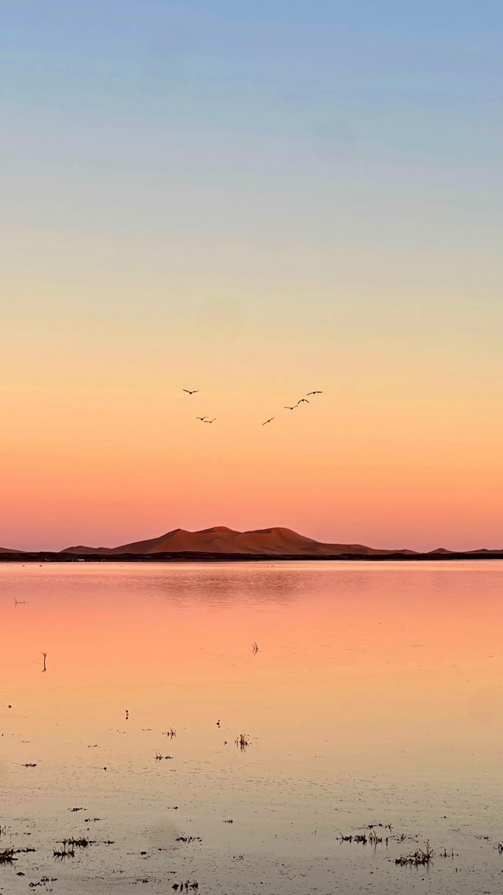 4x4 Desert Excursion Pink sunset over a desert lake with flying birds – Merzouga