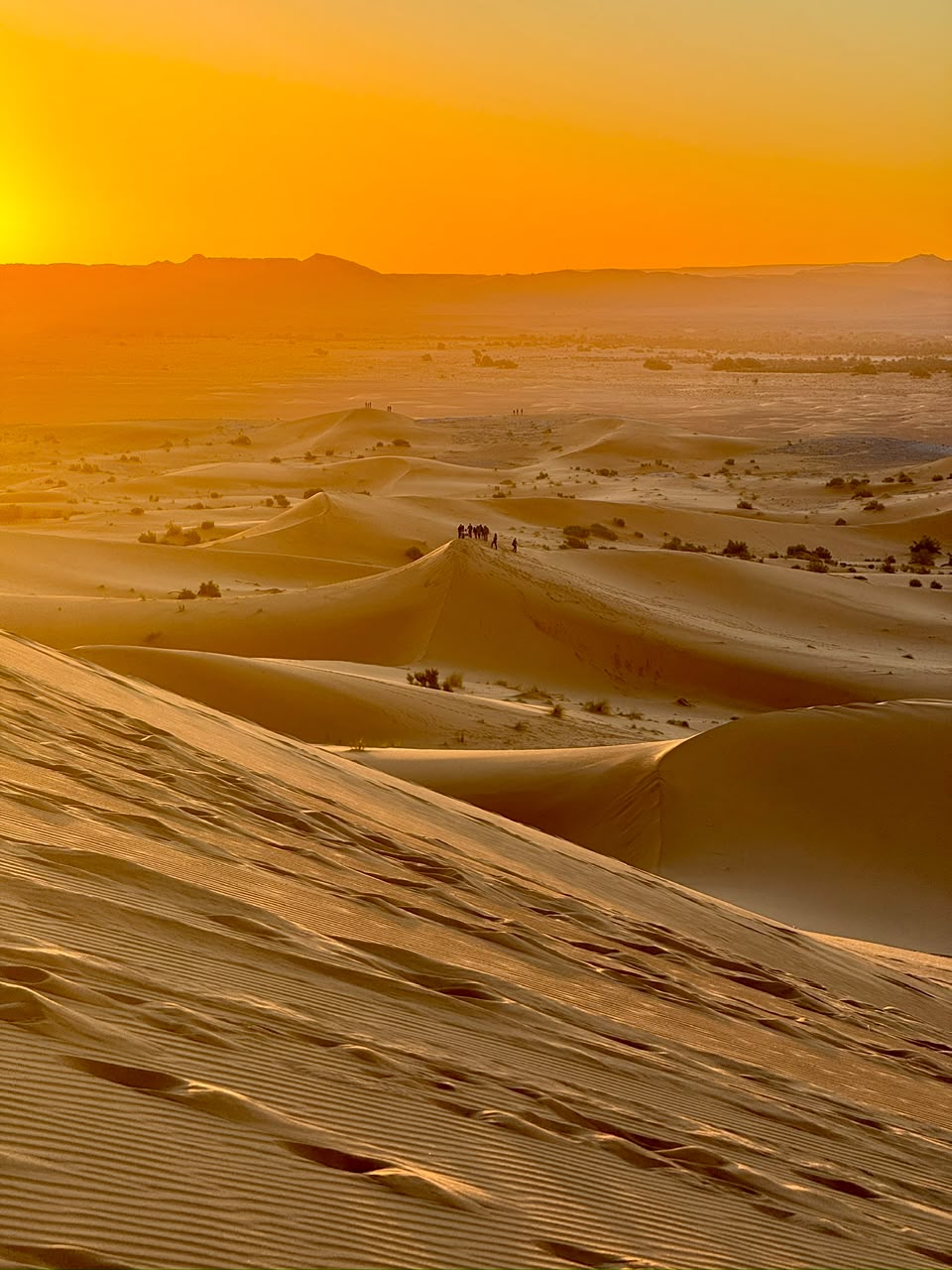 4x4 Desert Excursion Golden dunes and shadows in the Sahara – Merzouga