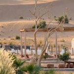 Oasis garden with palm trees in the desert – Merzouga, Morocco