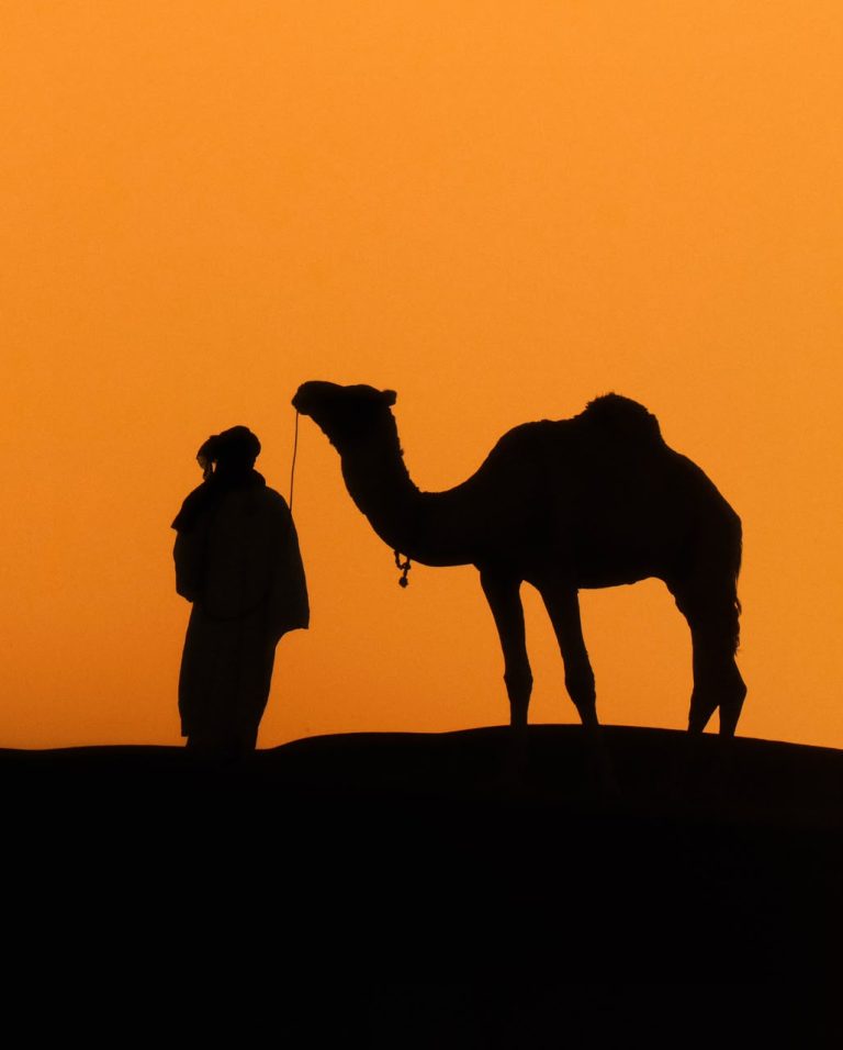 Silhouette of a camel and guide at sunset – Merzouga