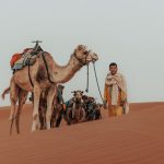 Camels and their Berber guide on the dunes – Merzouga, Morocco