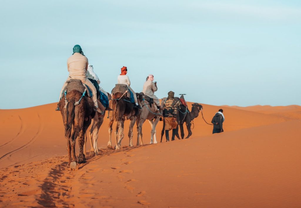 Camel Ride