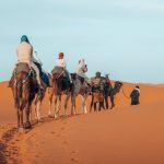 Camel caravan with guide crossing the Erg Chebbi dunes – Merzouga, Morocco